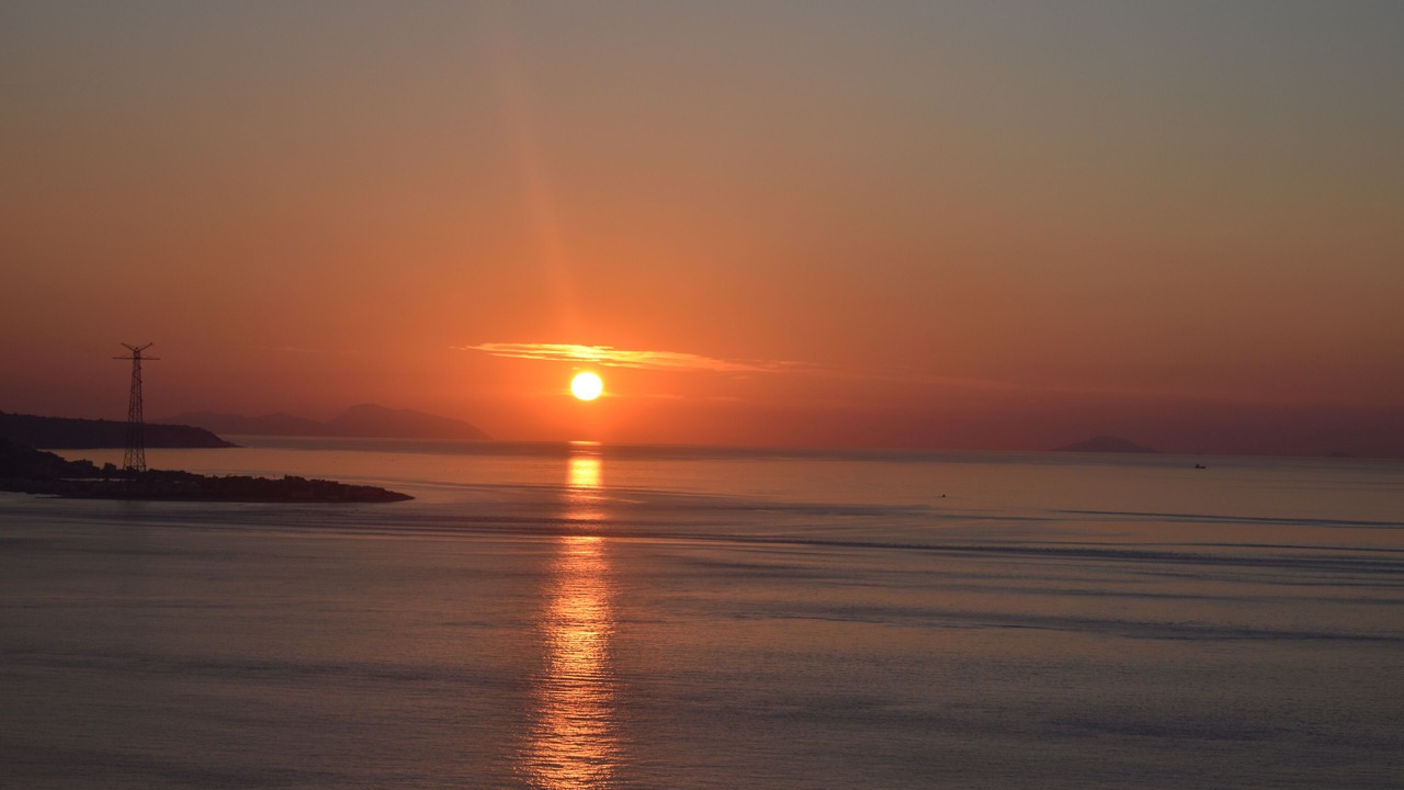 Photo of Others in Scilla