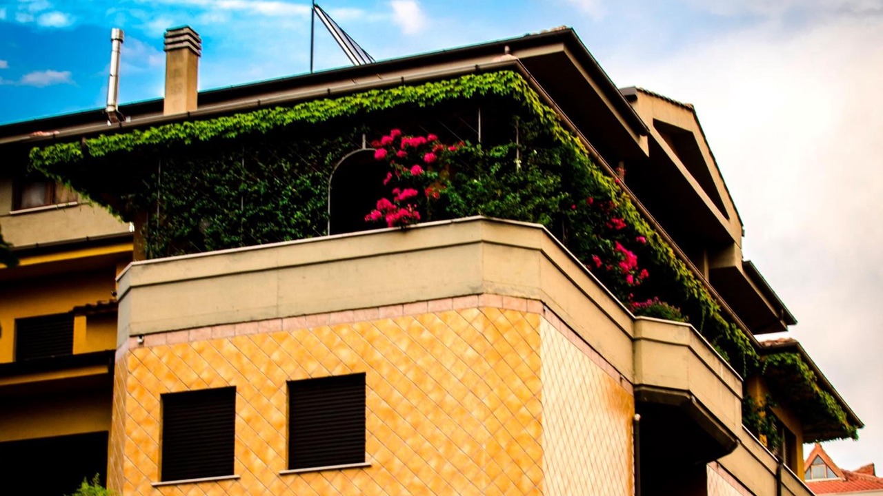 Photo of Outdoor in Cosenza