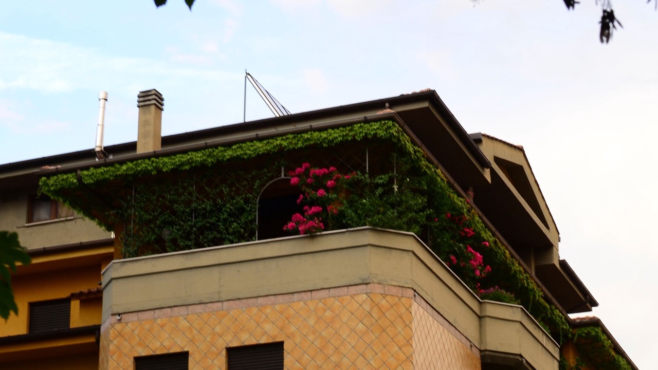 Photo of Outdoor in Cosenza