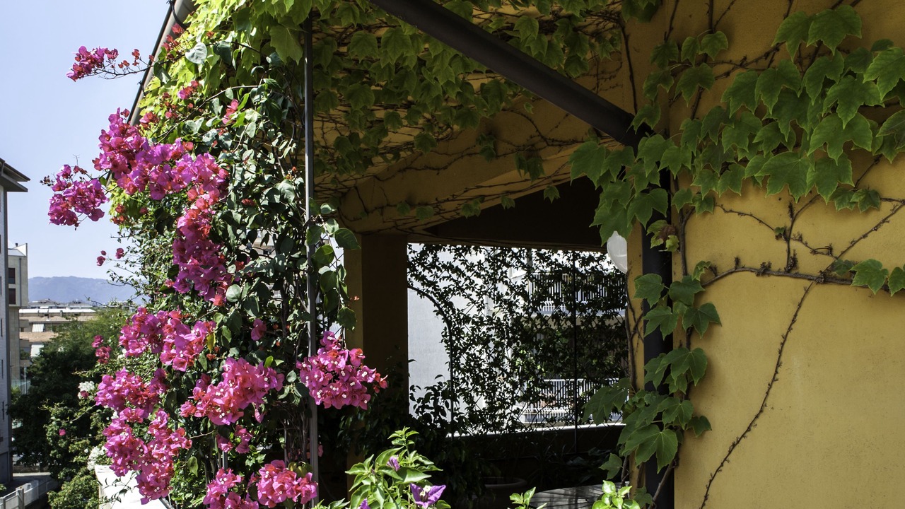 Photo of Outdoor in Cosenza