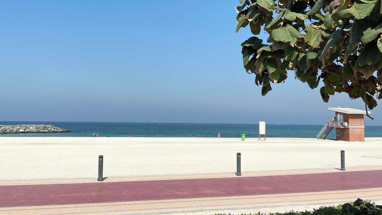 Photo of Others in Sharjah