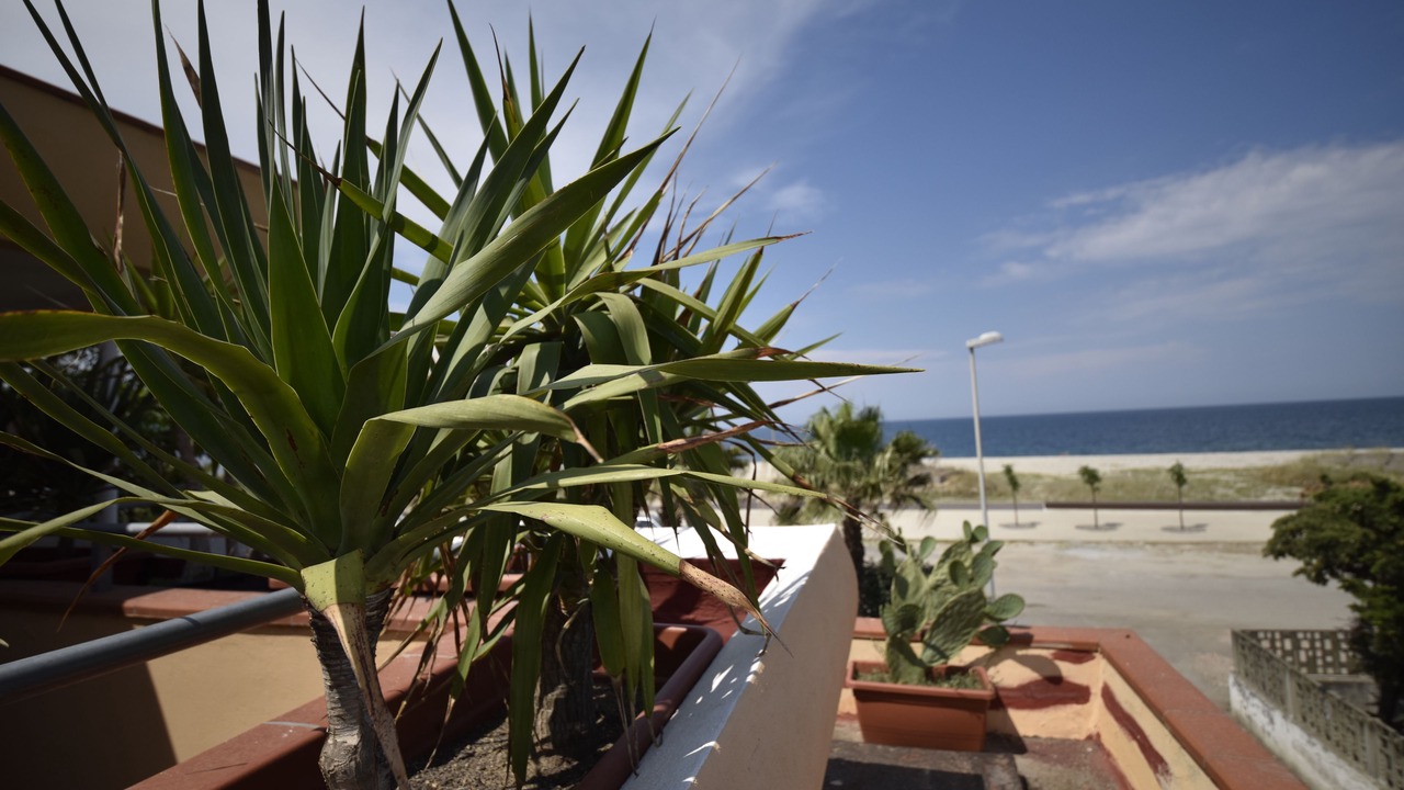 Photo of Outdoor in Fabrizio