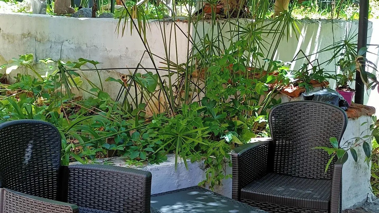Photo of Outdoor in Cosenza