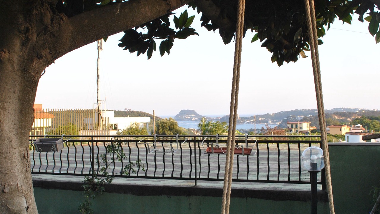 Photo of Outdoor in Licola