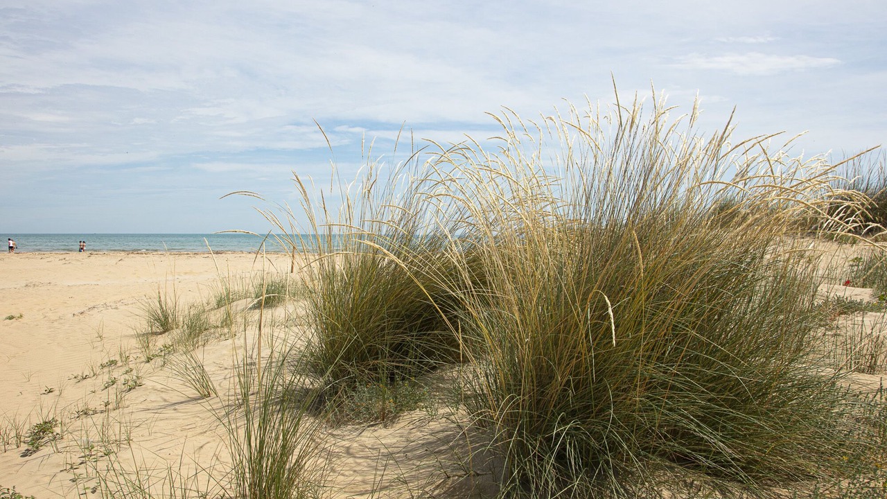 Photo of Others in Marina di Vasto