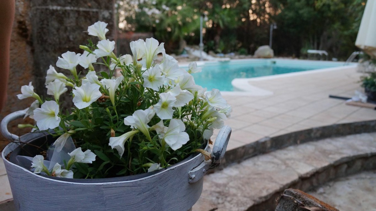 Photo of Outdoor in Torre Santa Susanna