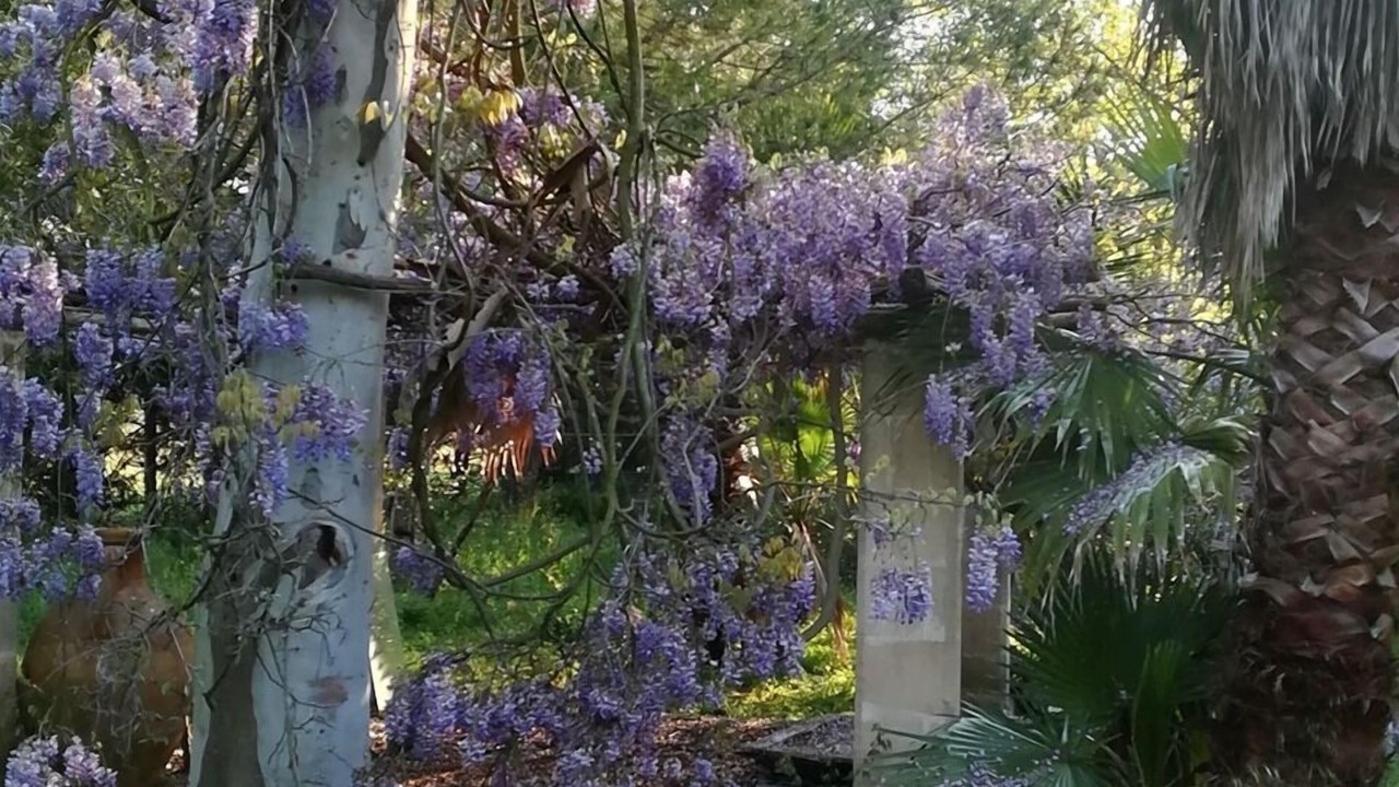 Photo of Outdoor in Torre Santa Susanna