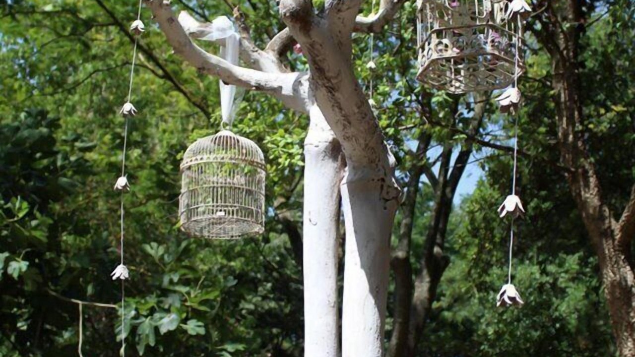 Photo of Outdoor in Torre Santa Susanna