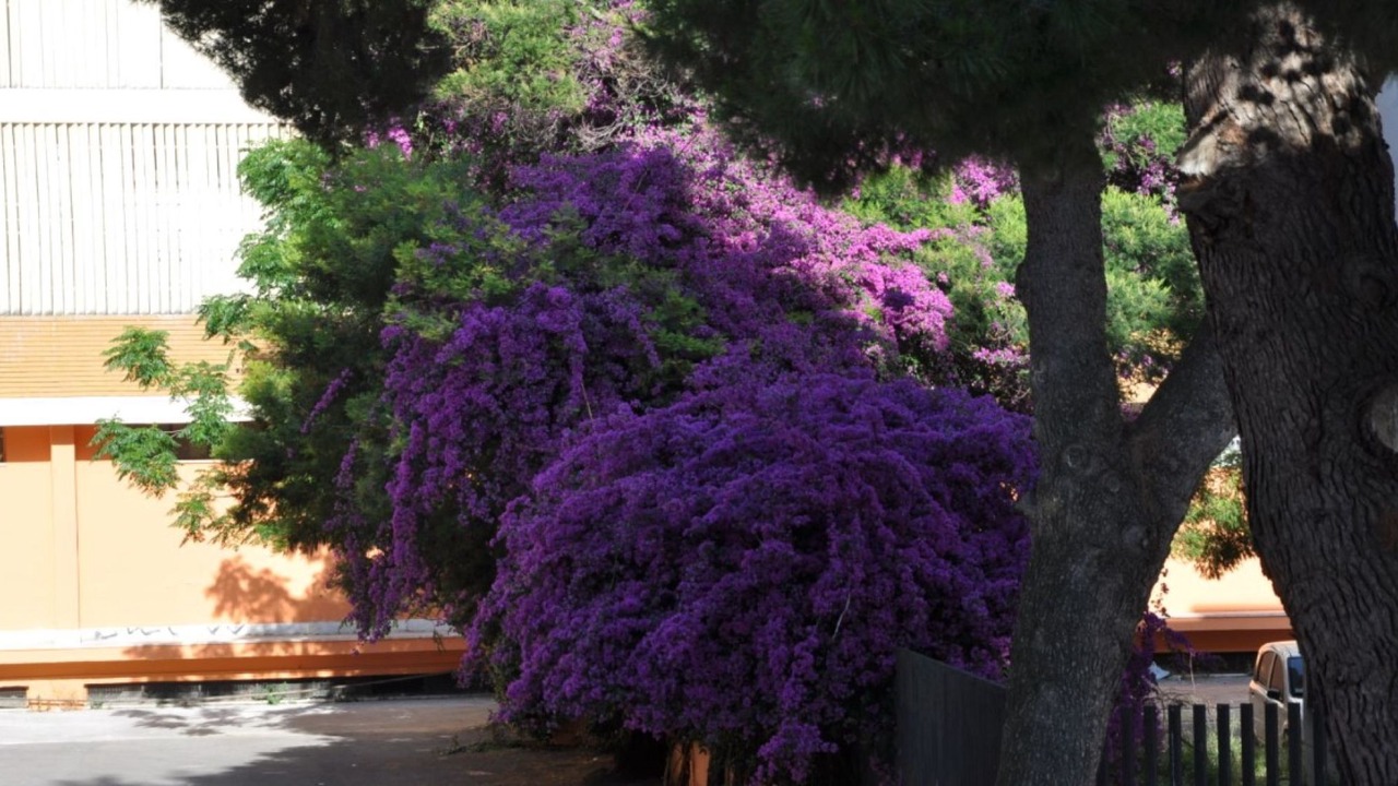 Photo of Outdoor in Centro Storico