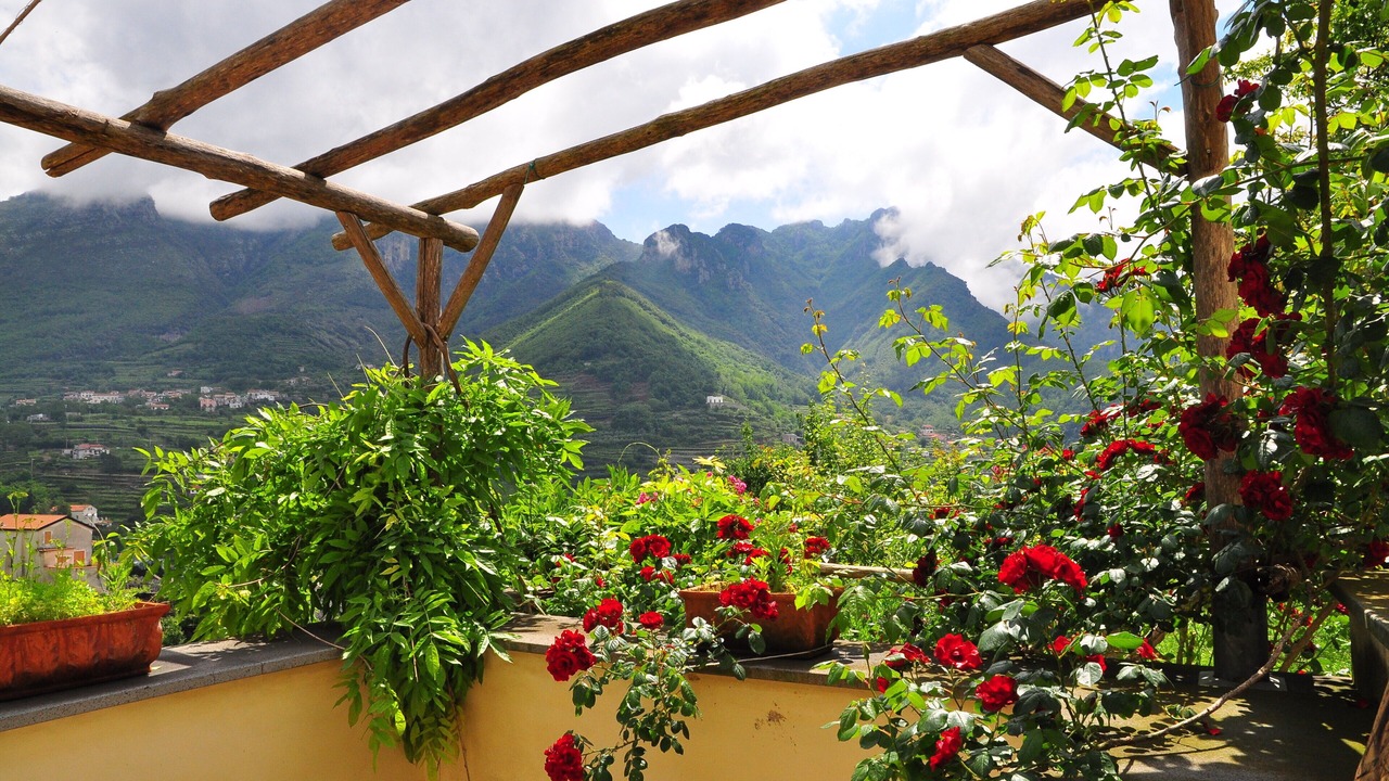 Photo of Outdoor in Pucara