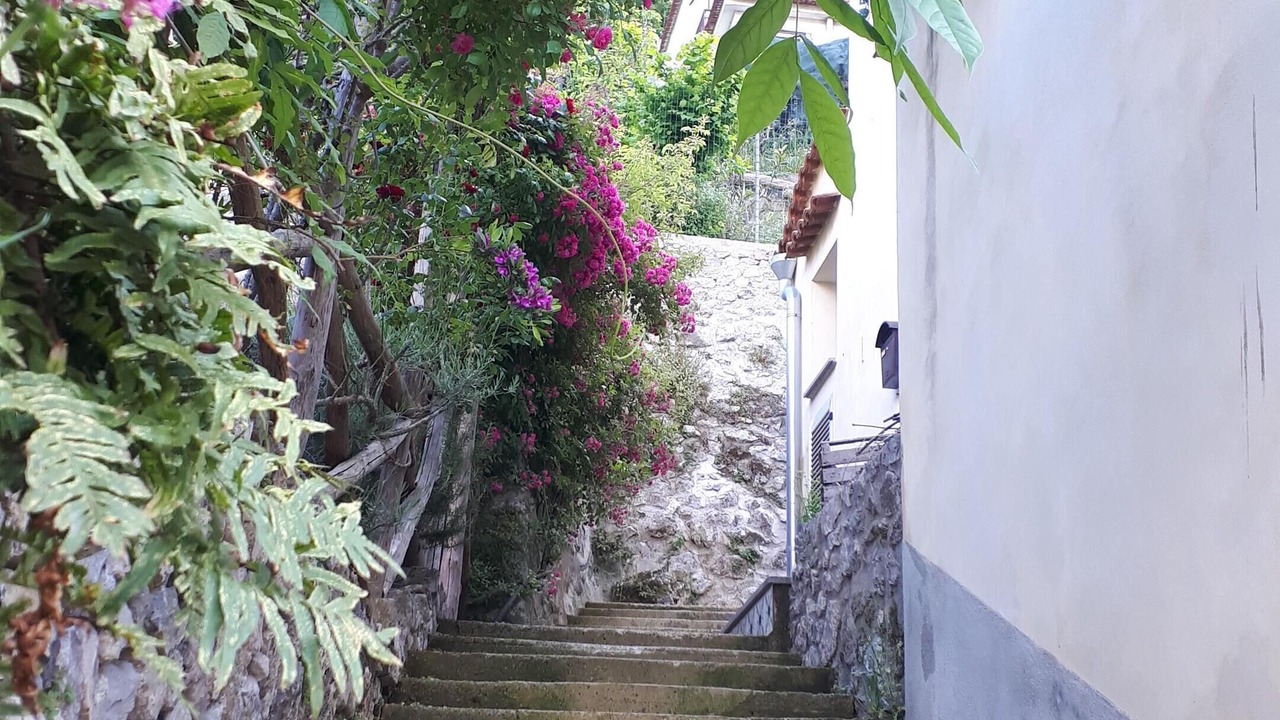 Photo of Outdoor in Pucara