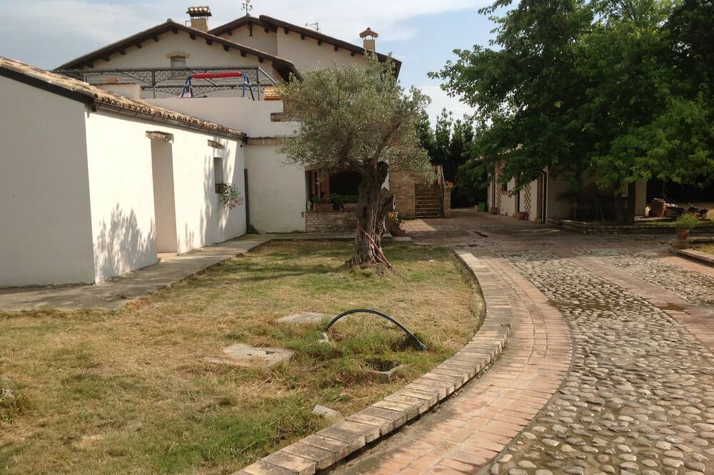 Photo of Outdoor in Cepagatti