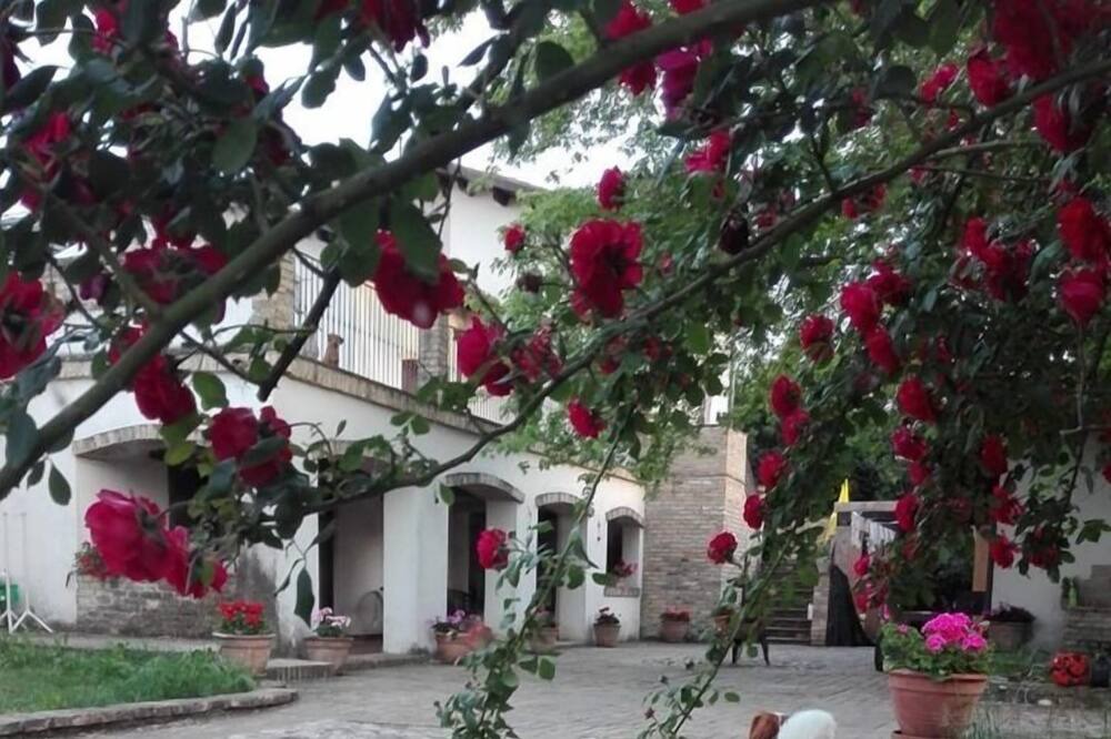 Photo of Outdoor in Cepagatti