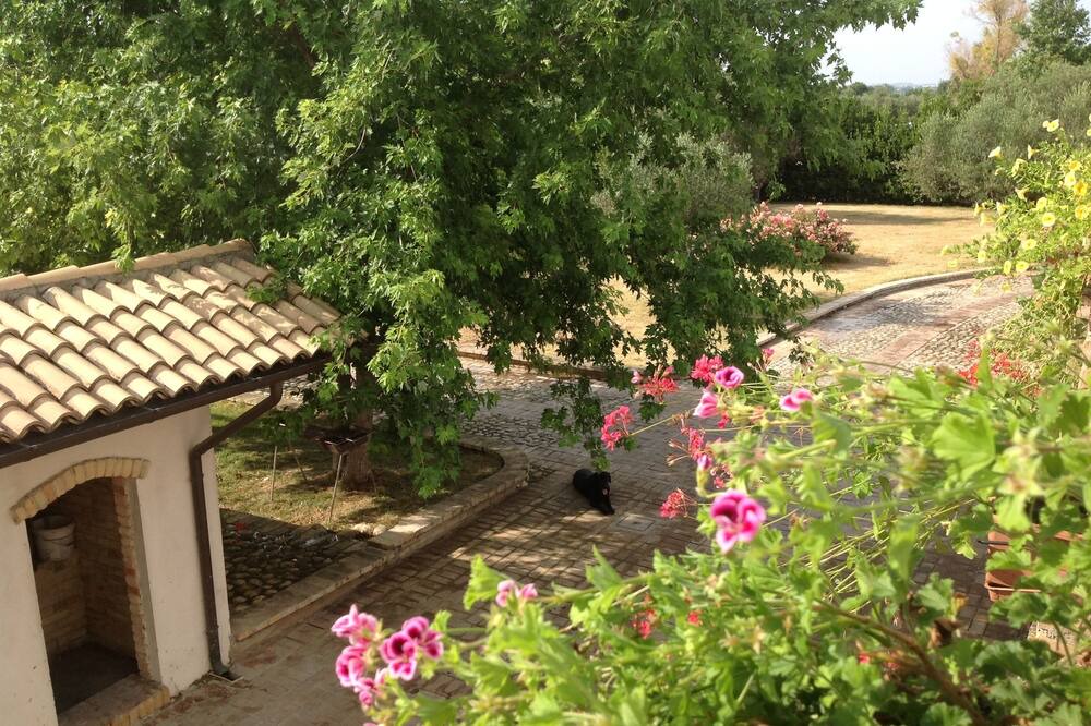 Photo of Outdoor in Cepagatti