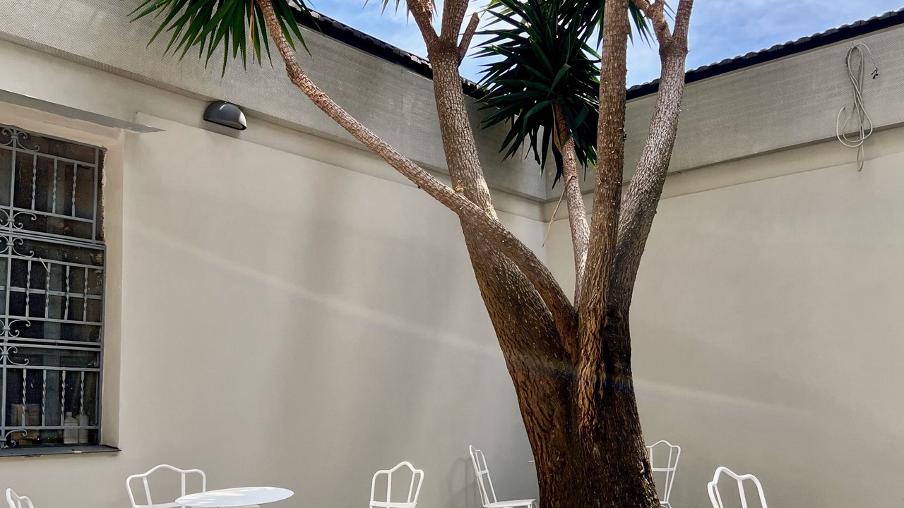 Photo of Outdoor in Naples