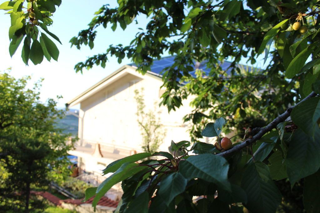 Photo of Outdoor in Carolei