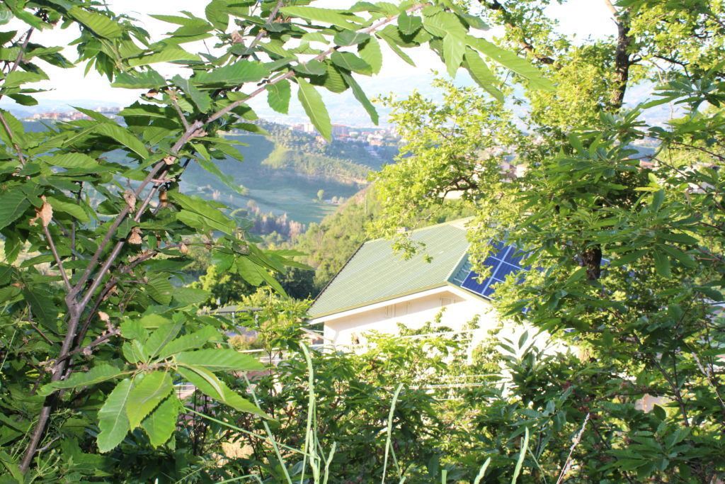 Photo of Outdoor in Carolei