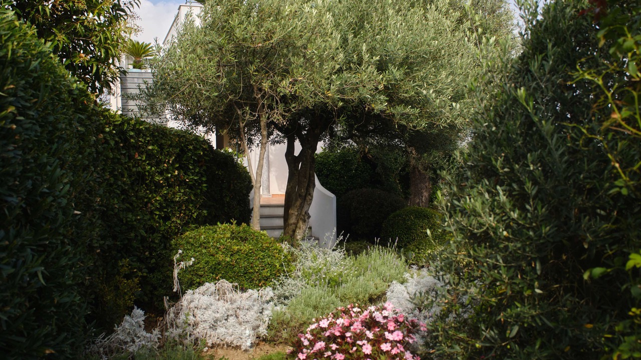 Photo of Bedroom in Ravello