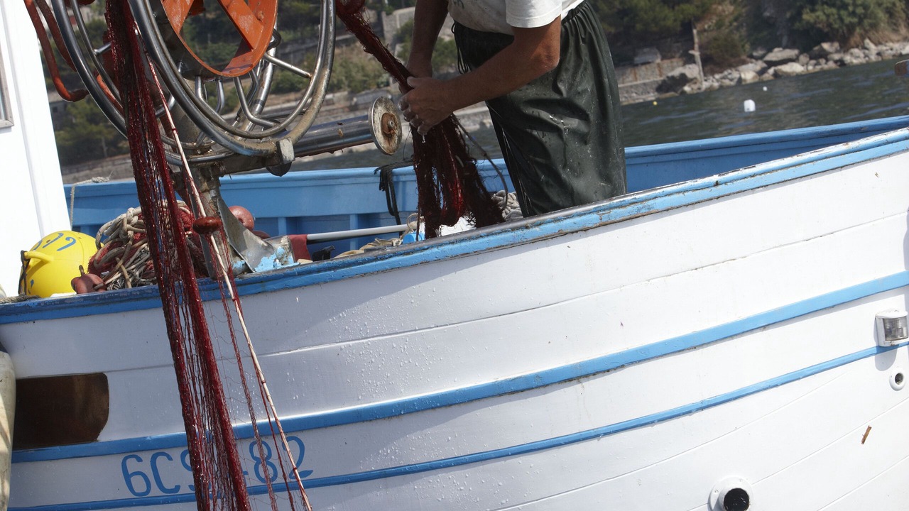 Photo of Others in Marina del Cantone