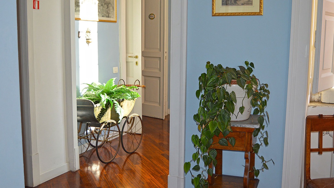 Photo of Others in Piano di Sorrento