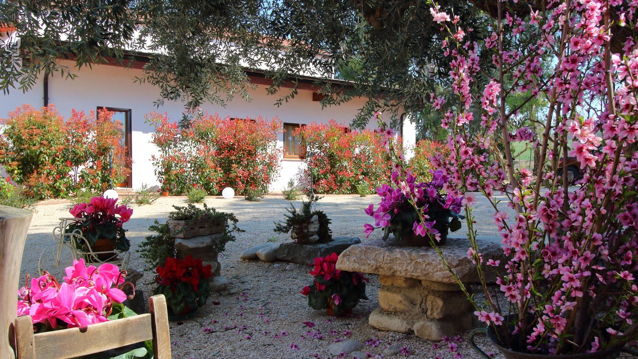 Photo of Outdoor in Larino