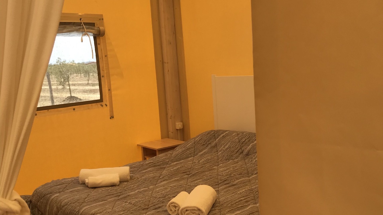Photo of Others in Piombino