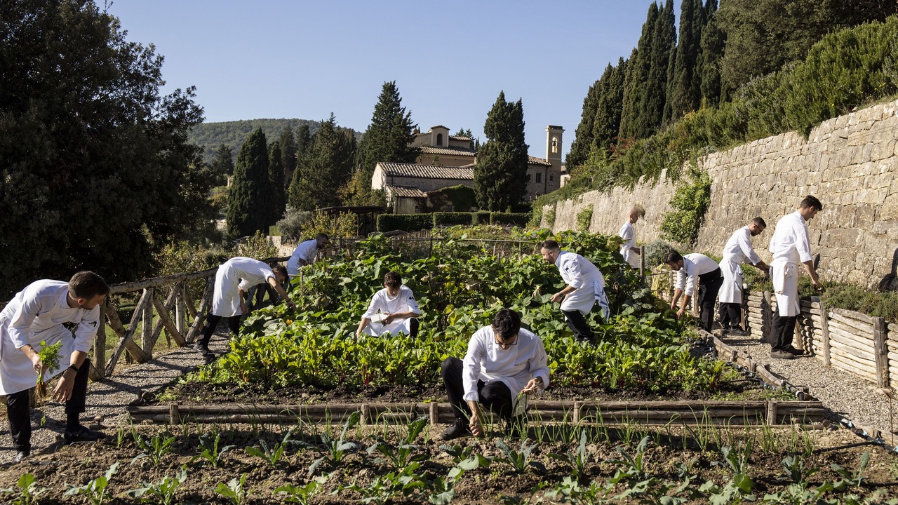 Photo of Others in Castiglione del Bosco