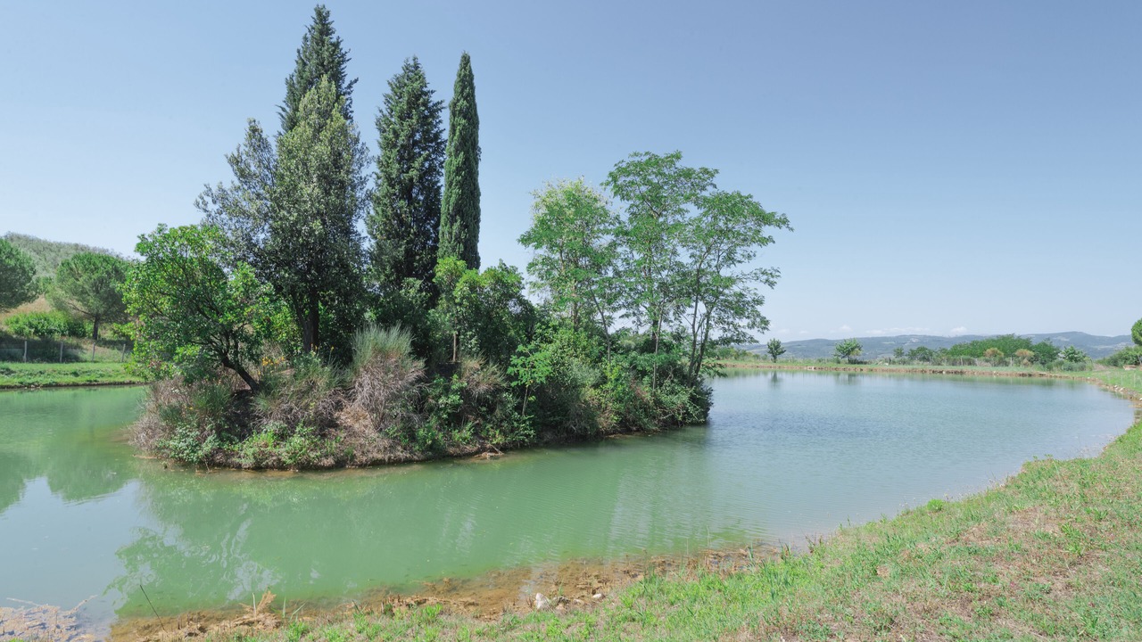 Photo of Outdoor in San Quirico d'Orcia