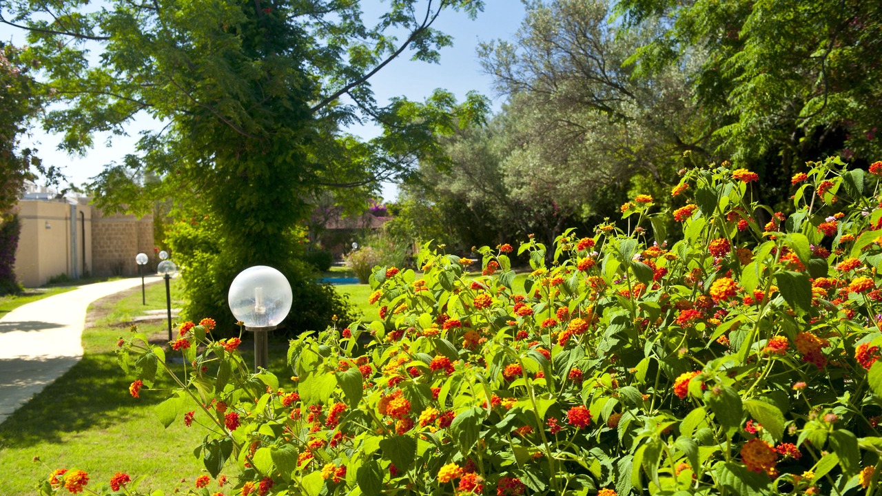 Photo of Outdoor in Simeri Mare