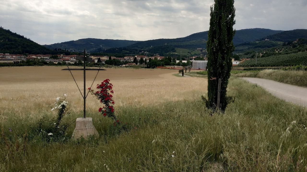 Photo of Outdoor in Twist