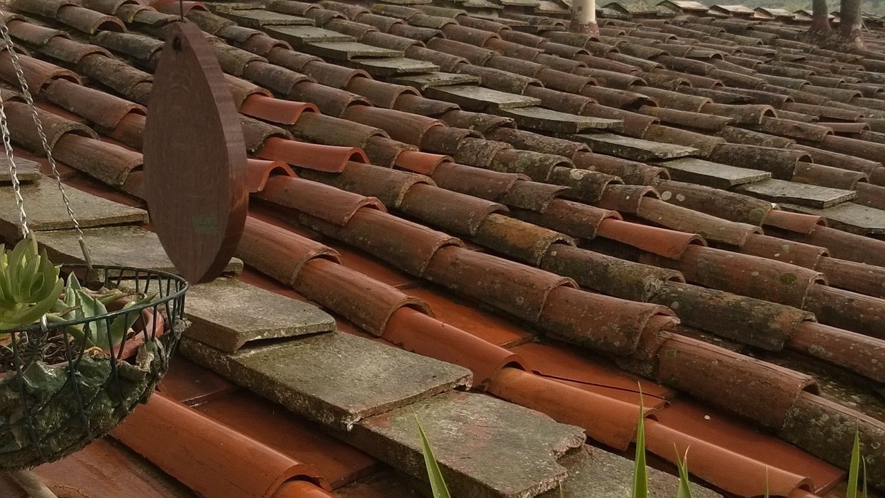 Photo of Patio Balcony in Twist