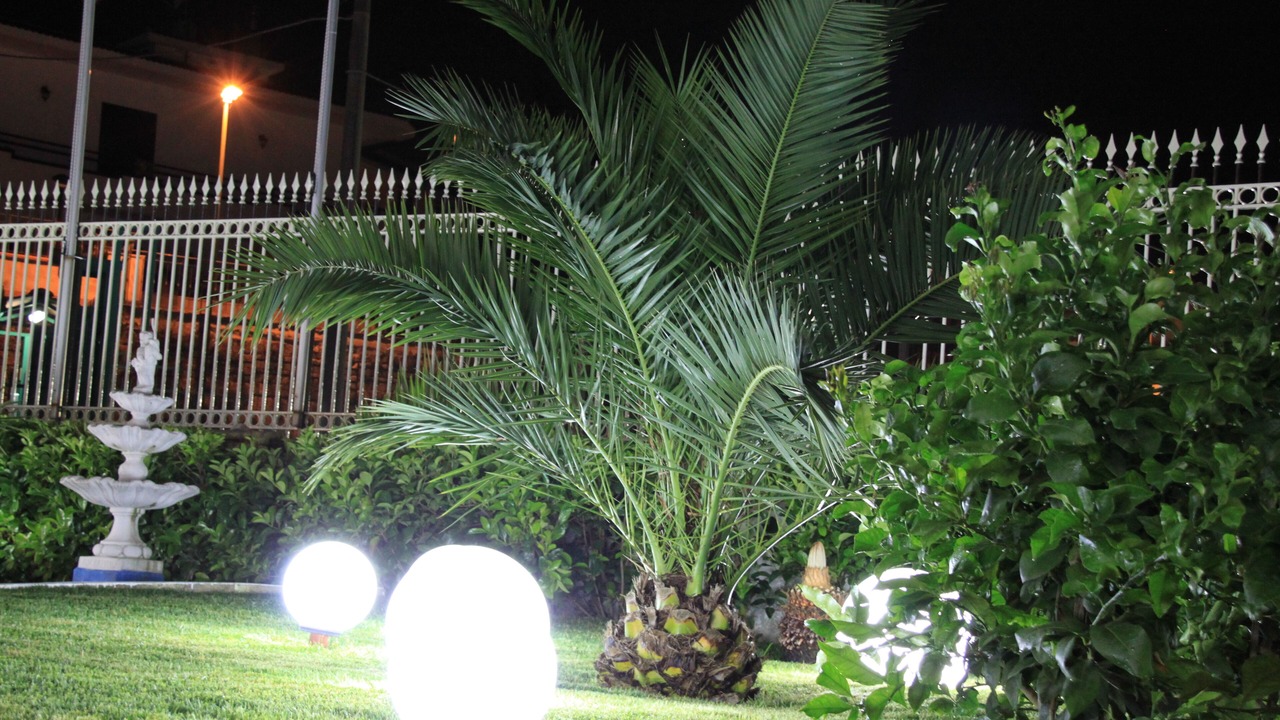 Photo of Outdoor in Zona Ospedaliera