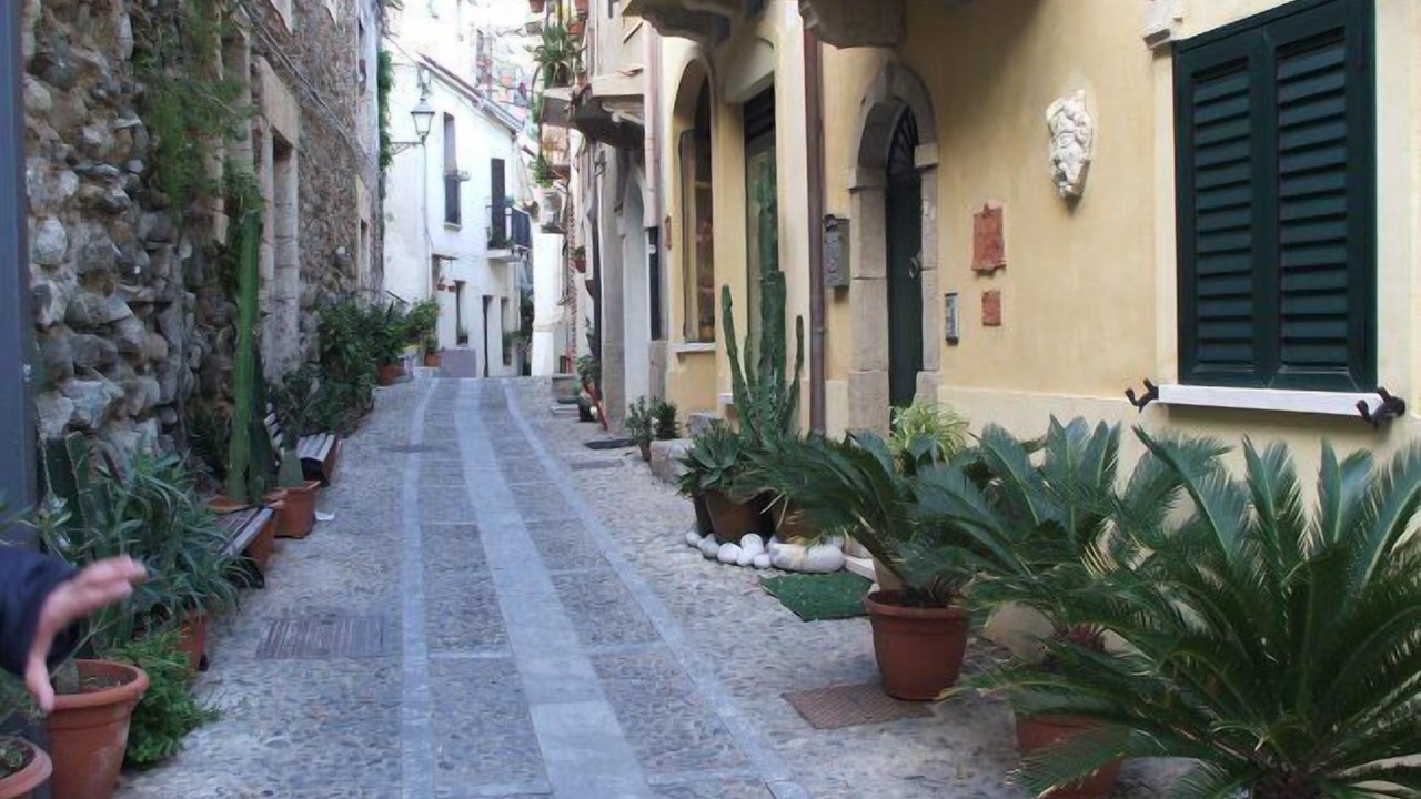 Photo of Outdoor in Scilla
