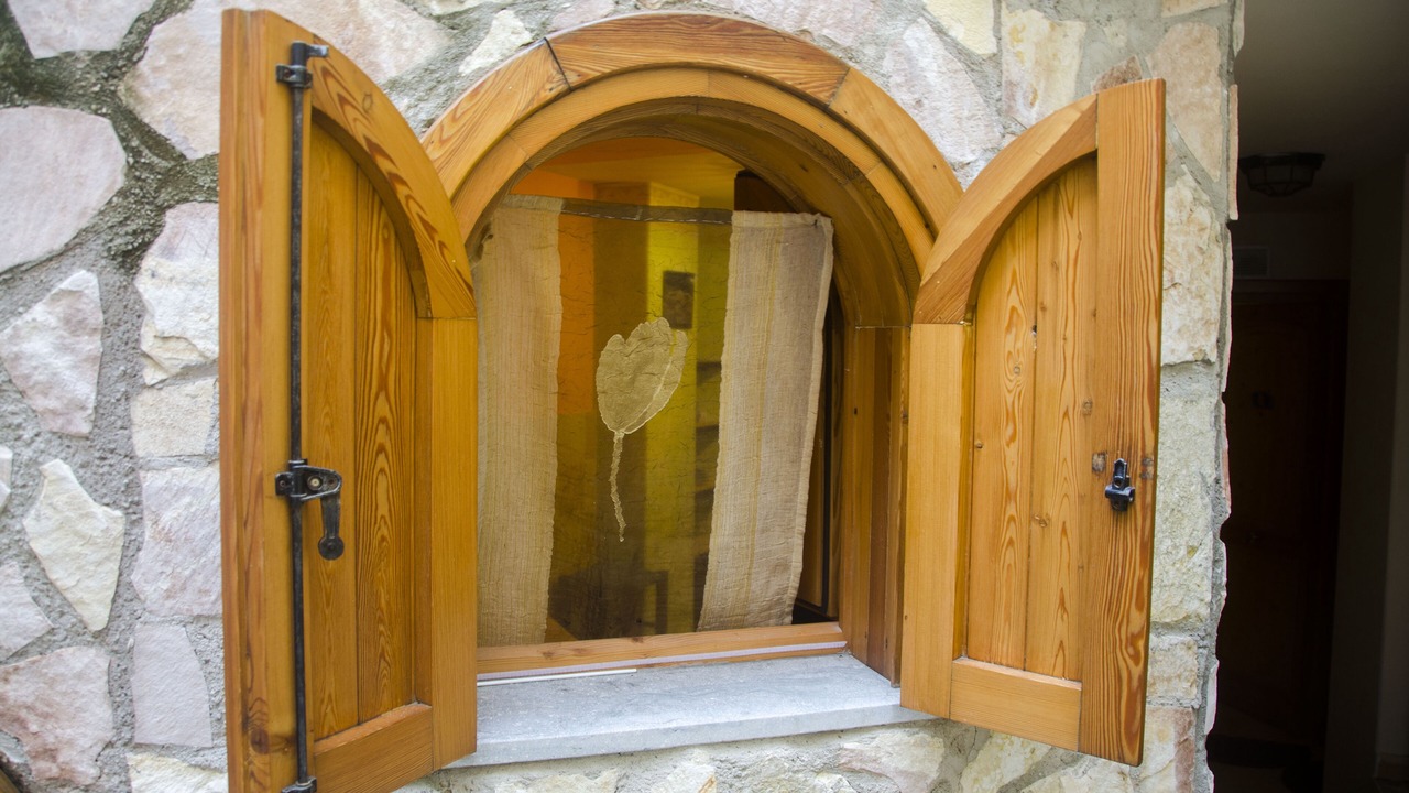 Photo of Outdoor in Scilla