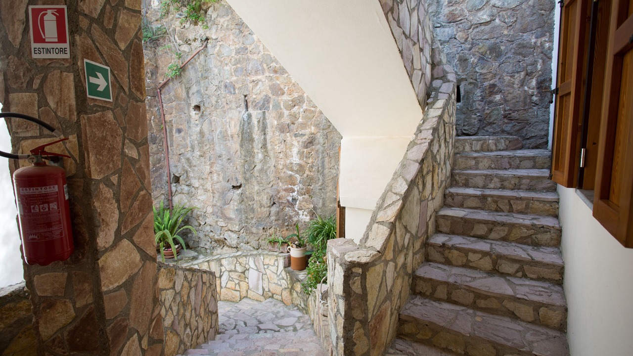 Photo of Outdoor in Scilla