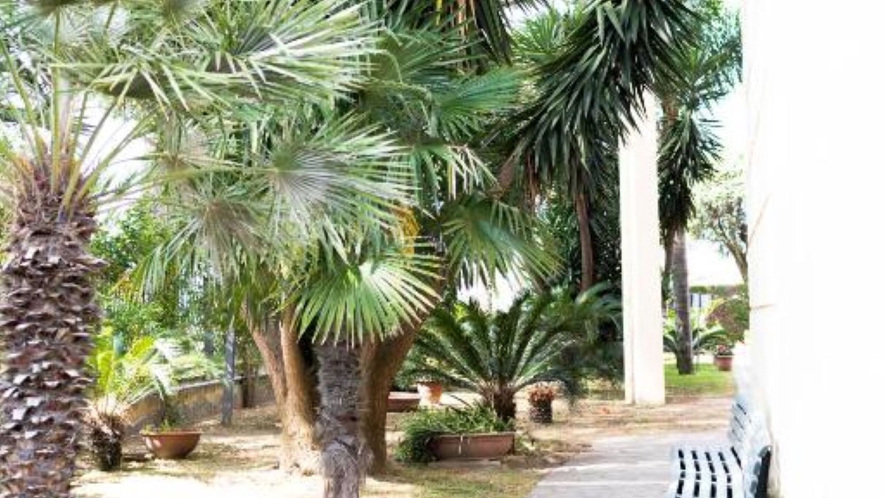Photo of Outdoor in Varcaturo