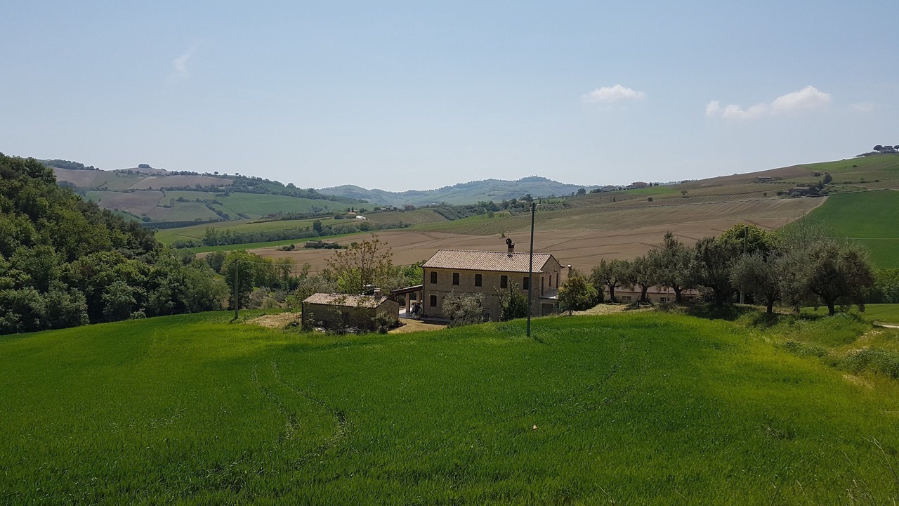Photo of Outdoor in Carassai