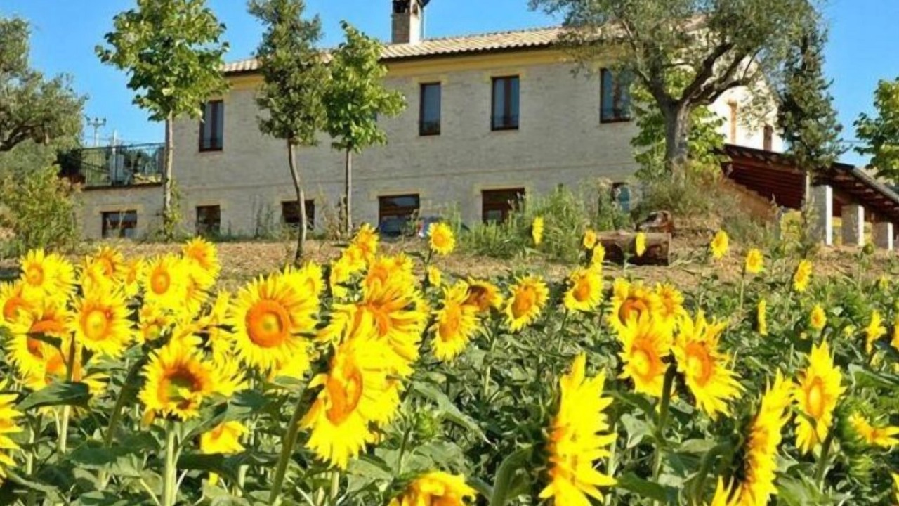 Photo of Outdoor in Carassai