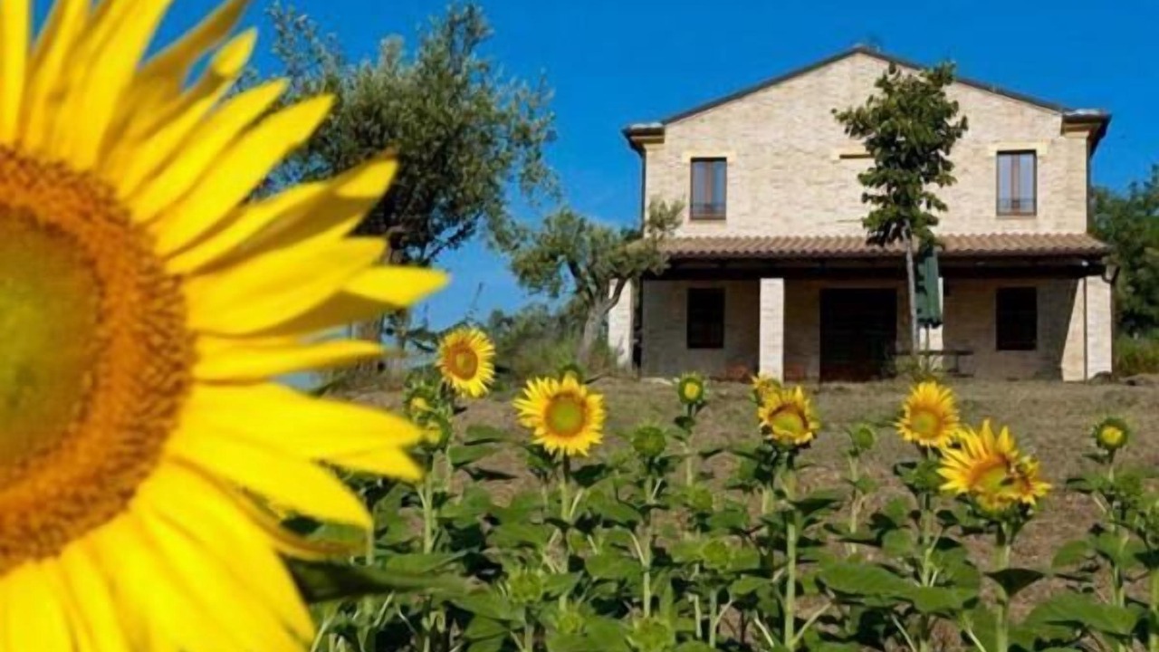 Photo of Outdoor in Carassai