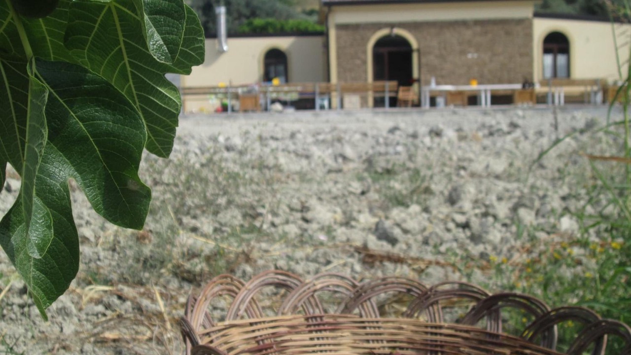 Photo of Outdoor in Bianco