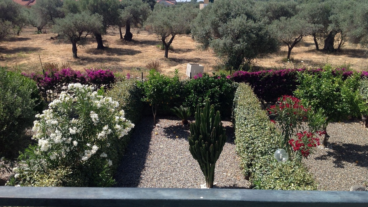 Photo of Outdoor in Isca Marina