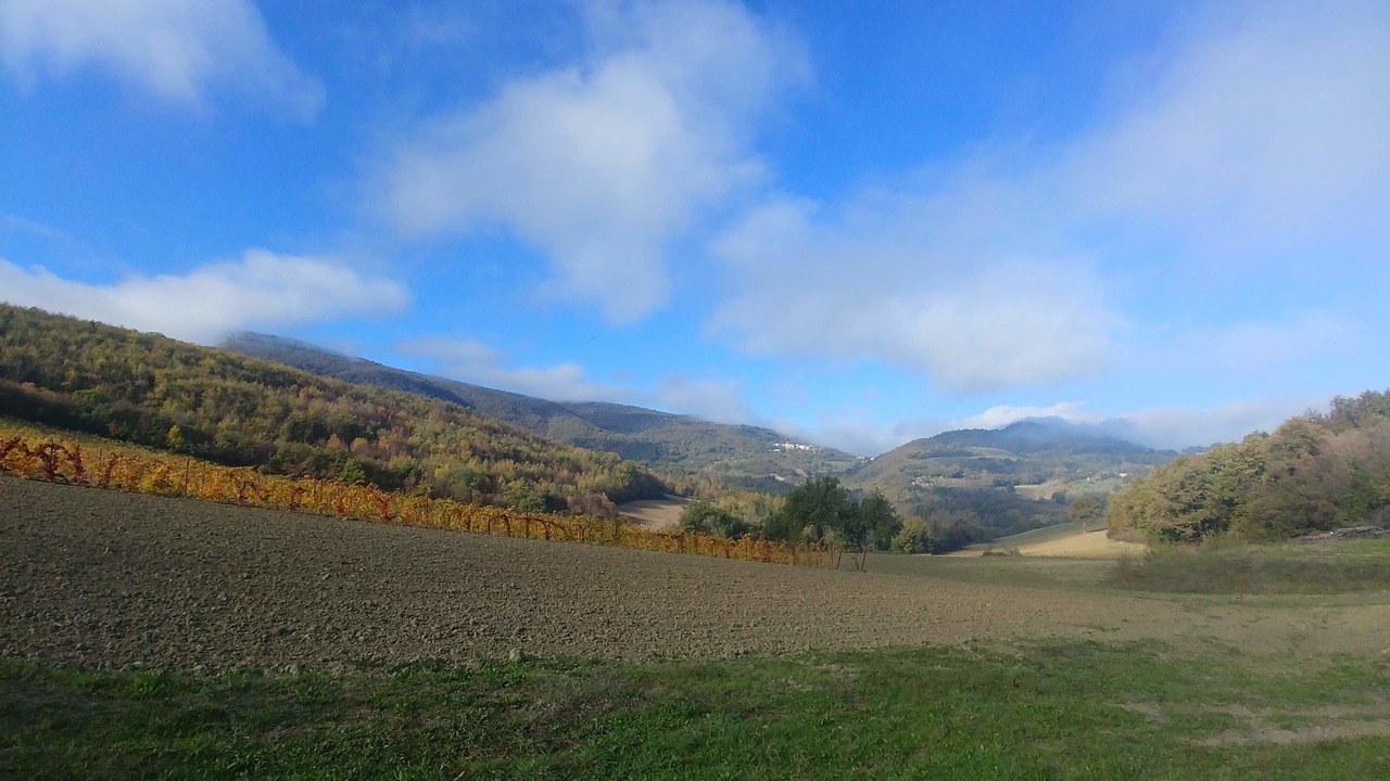 Photo of Outdoor in Vestignano