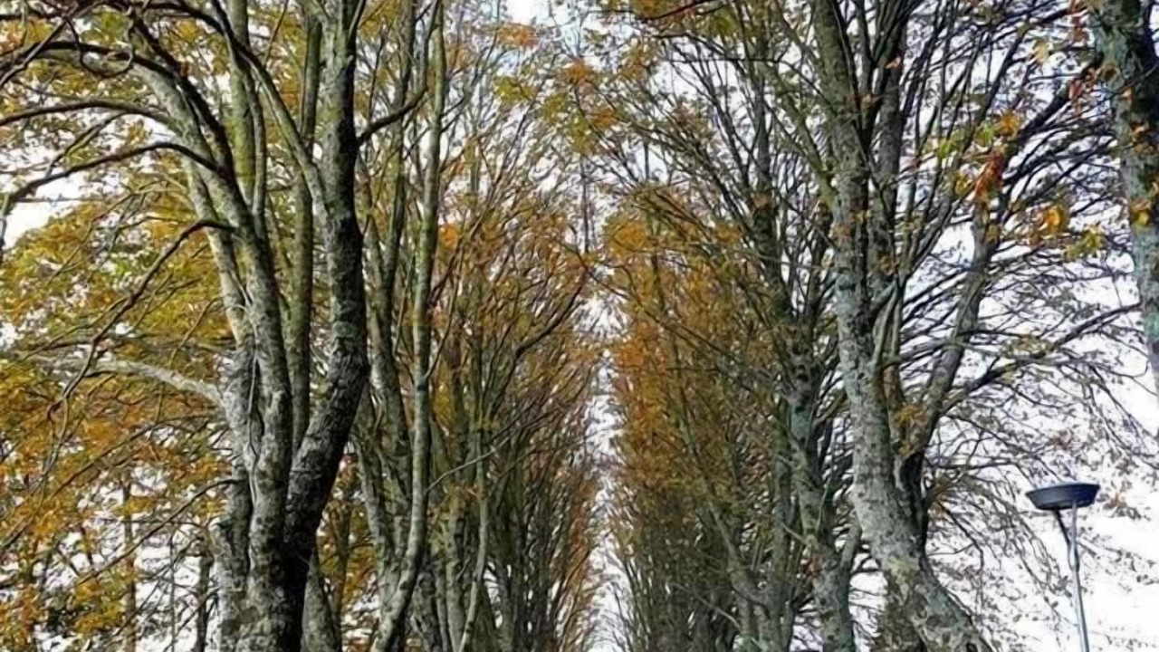 Photo of Outdoor in San Lazzaro