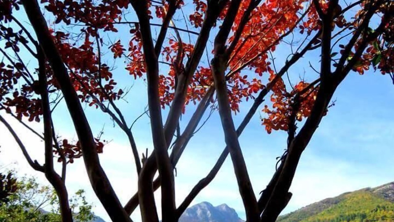 Photo of Outdoor in San Lazzaro