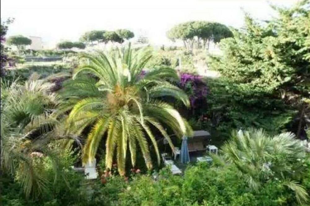 Photo of Outdoor in Trecase