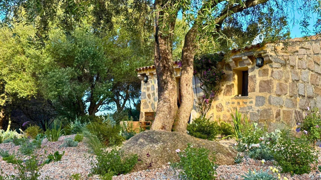 Photo of Outdoor in Arzachena