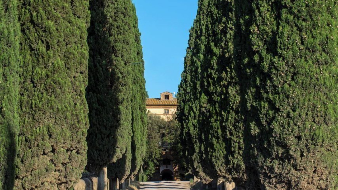 Photo of Outdoor in Argiano
