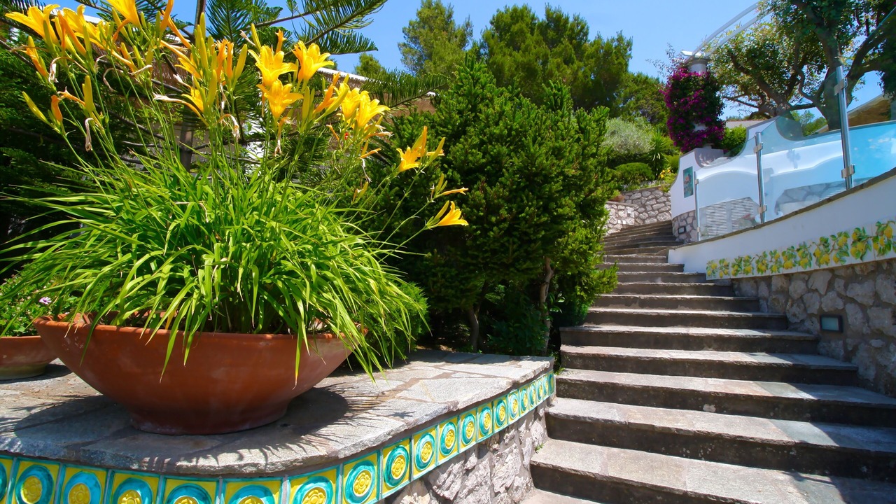 Photo of Outdoor in Anacapri