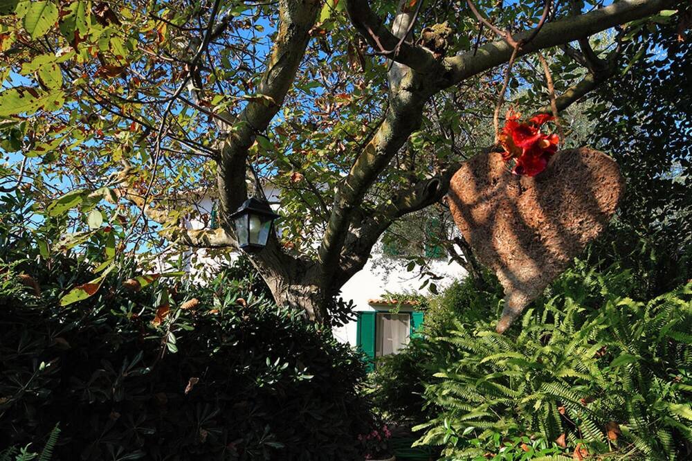 Photo of Outdoor in Schiazzano