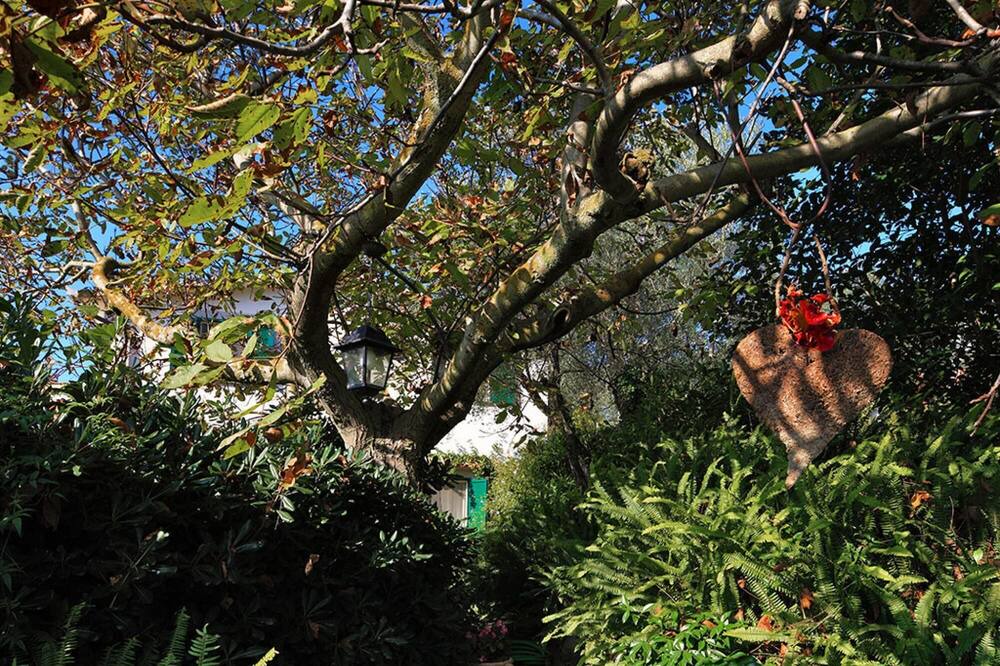 Photo of Outdoor in Schiazzano